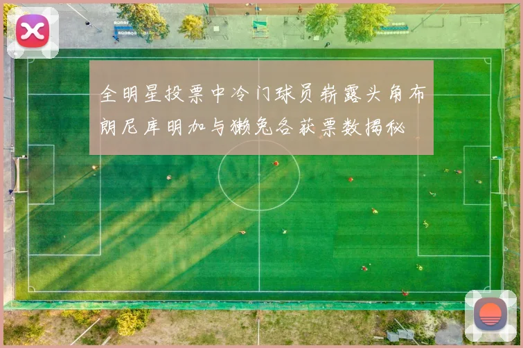 全明星投票中冷门球员崭露头角布朗尼库明加与獭兔各获票数揭秘